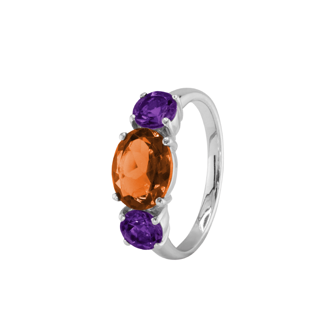 Ring SARA - The SISS BLISS