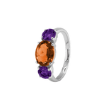 Ring SARA - The SISS BLISS