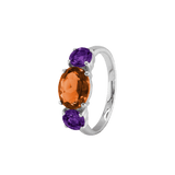 Ring SARA - The SISS BLISS