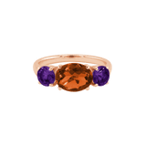 Ring SARA - The SISS BLISS