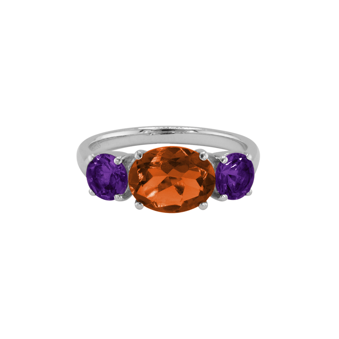 Ring SARA - The SISS BLISS