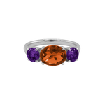 Ring SARA - The SISS BLISS