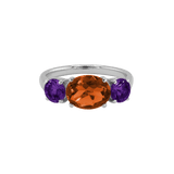 Ring SARA - The SISS BLISS