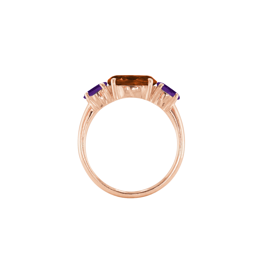 Ring SARA - The SISS BLISS