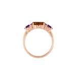 Ring SARA - The SISS BLISS