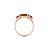 Ring SARA - The SISS BLISS