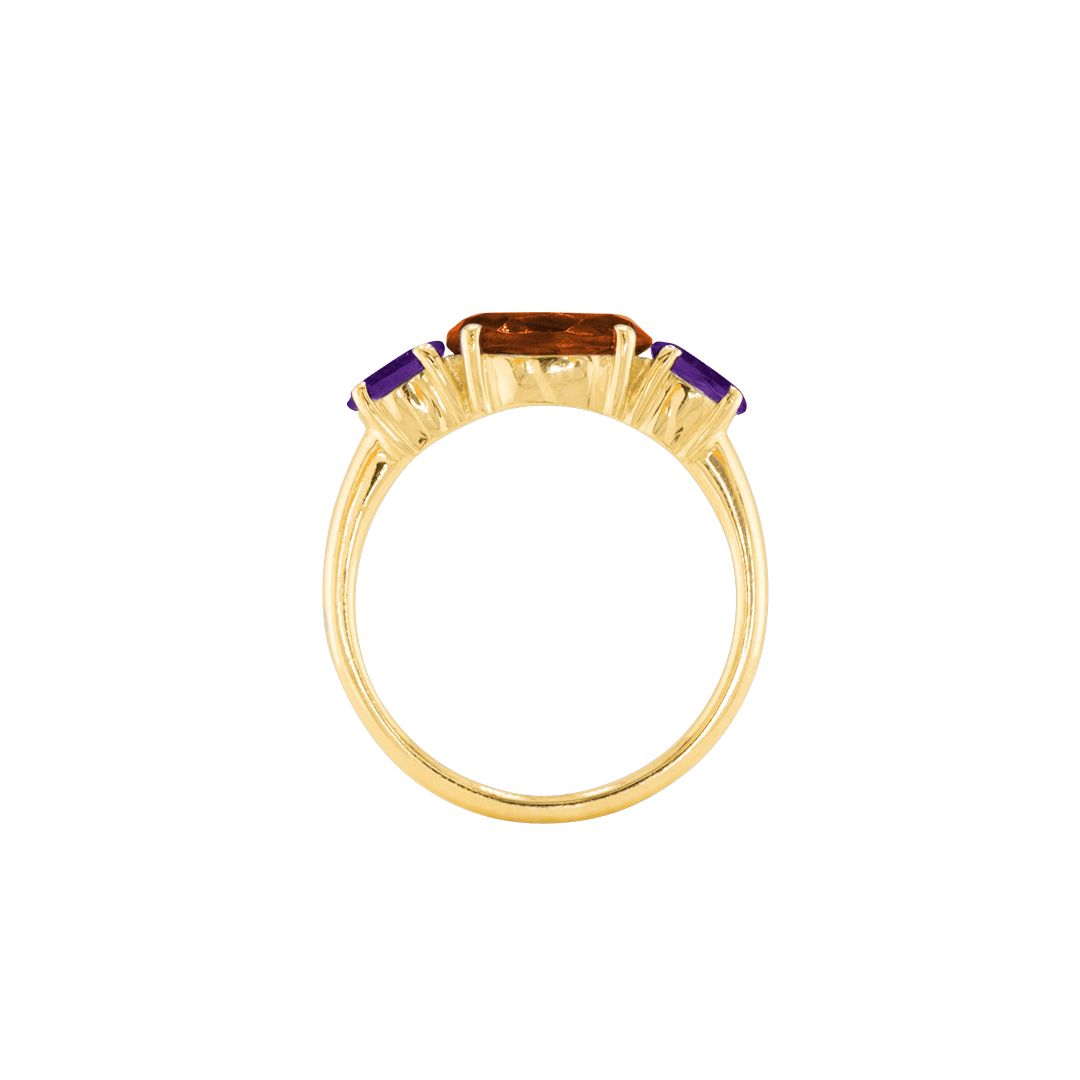 Ring SARA - The SISS BLISS