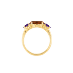 Ring SARA - The SISS BLISS