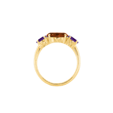 Ring SARA - The SISS BLISS