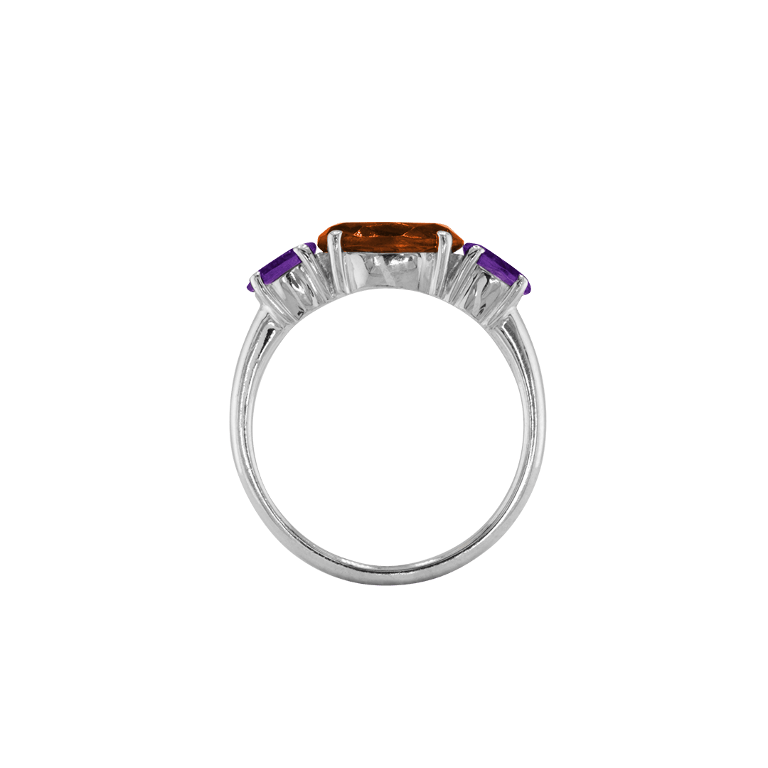 Ring SARA - The SISS BLISS