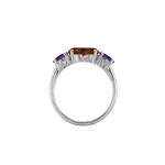 Ring SARA - The SISS BLISS