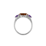 Ring SARA - The SISS BLISS