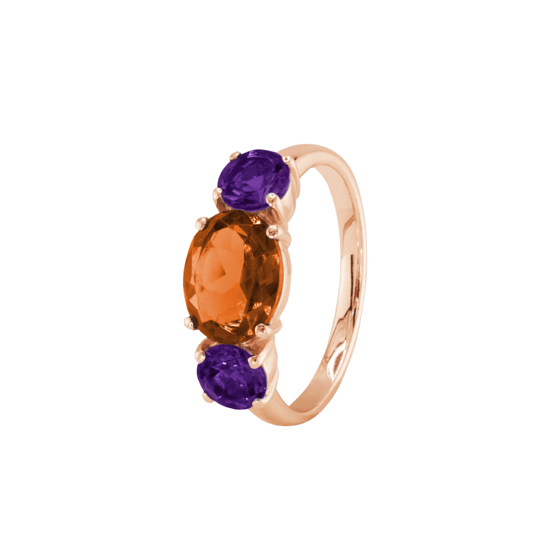 Ring SARA - The SISS BLISS