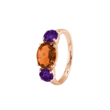 Ring SARA - The SISS BLISS