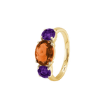 Ring SARA - The SISS BLISS