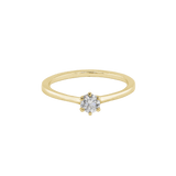 Ring DIANA - The SISS BLISS