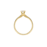 Ring DIANA - The SISS BLISS