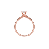 Ring DIANA - The SISS BLISS