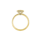 Ring HOLLY Gelbgold Gr. 52