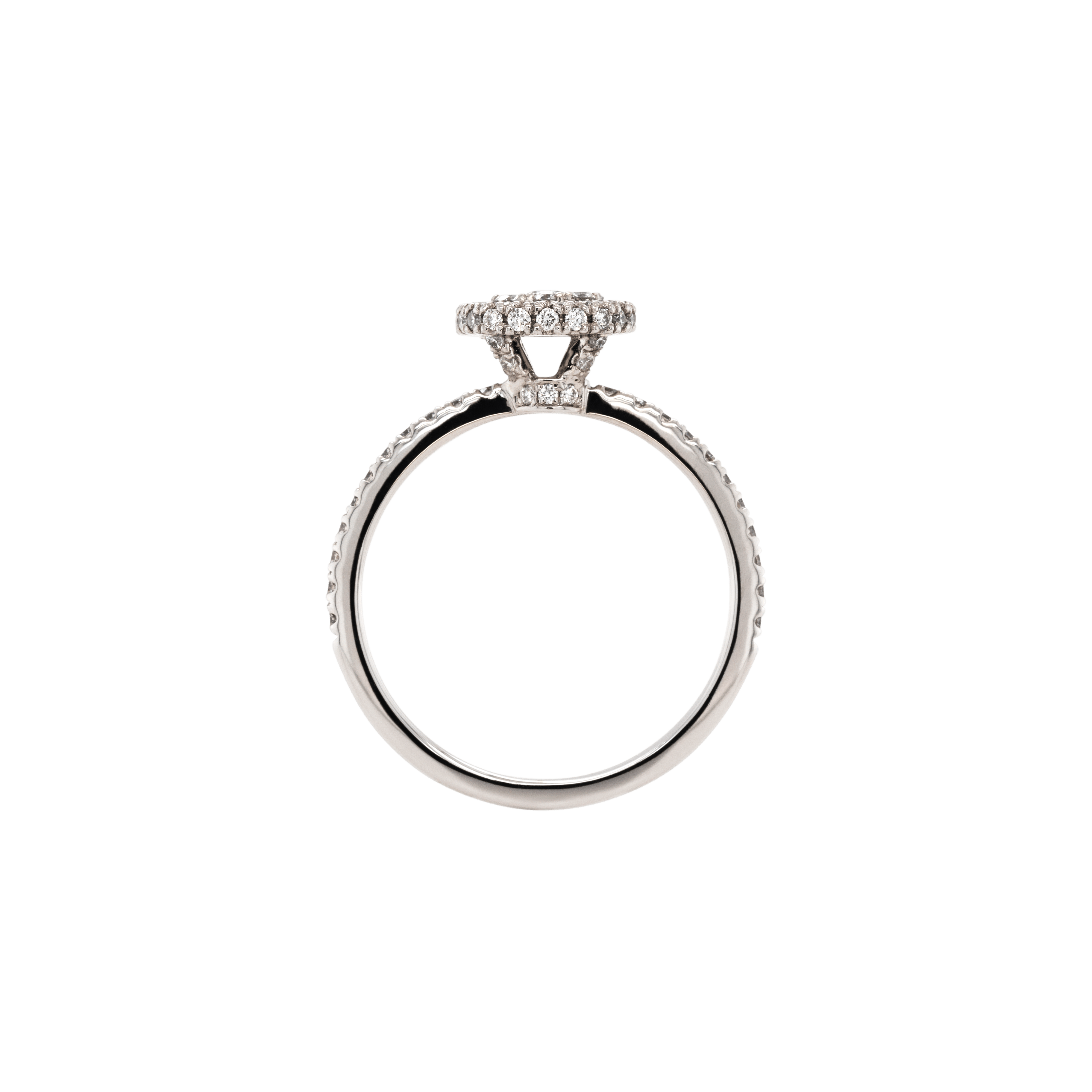 Ring HOLLY Weißgold Gr. 52