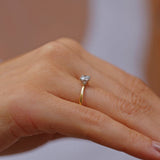 Ring SOFIA - The SISS BLISS GmbH