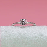 Ring SOFIA - The SISS BLISS GmbH