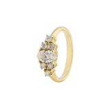 Ring IRIS - The SISS BLISS