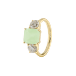 Ring PIPPA