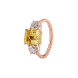 Ring PIPPA - The SISS BLISS