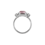 Ring PIPPA - The SISS BLISS