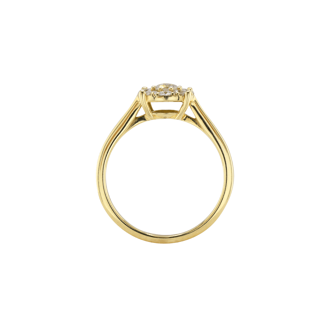 Ring ROSA - The SISS BLISS