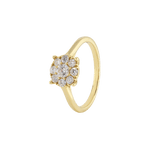 Ring ROSA - The SISS BLISS