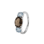 Ring SARA - The SISS BLISS