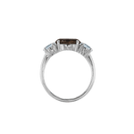 Ring SARA - The SISS BLISS