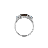 Ring SARA - The SISS BLISS