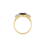 Ring SARA - The SISS BLISS