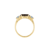 Ring SARA - The SISS BLISS