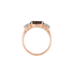 Ring SARA - The SISS BLISS