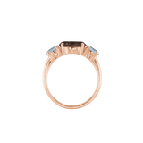 Ring SARA - The SISS BLISS