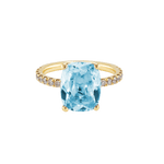 Ring SISSI - The SISS BLISS GmbH