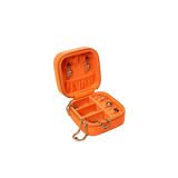 GOLDEN GOALS Travel Case